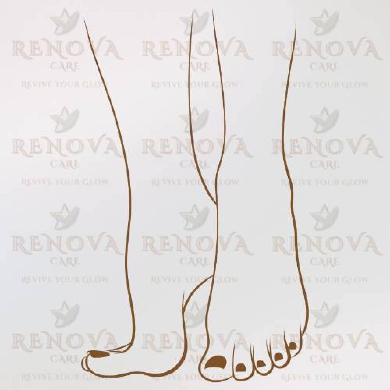 العناية بالجسم